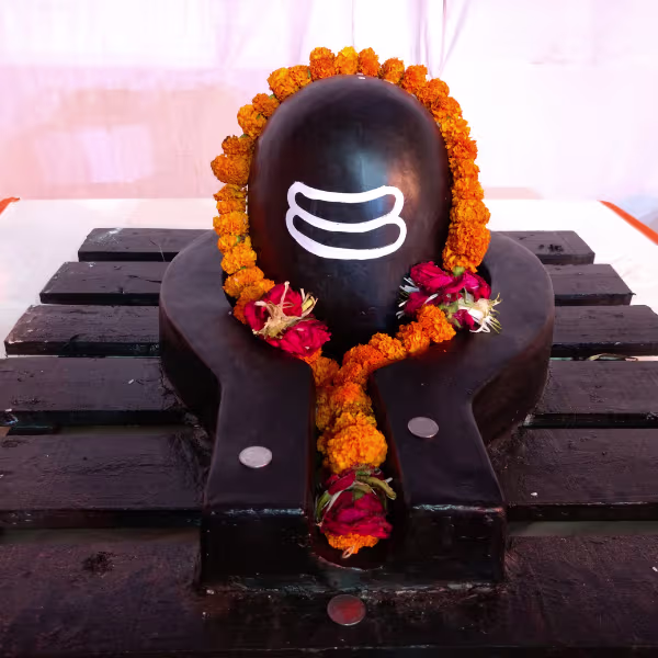 Rudra Abhishek